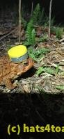 /home//u458753944/public_html/sourcegallery/////Roxborough Toad Detour/2025/2025-03-31/20250331_200136.jpg